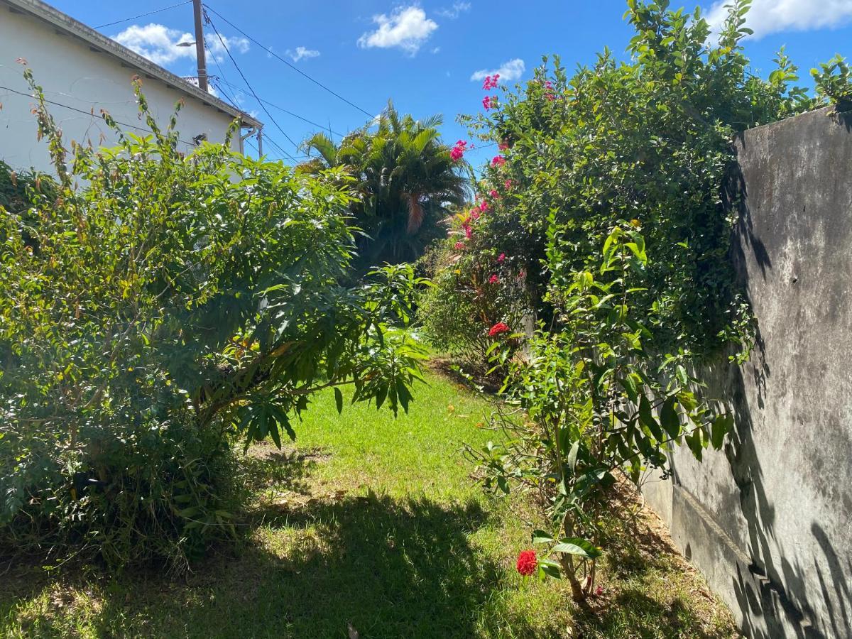 Maison Petit Paradis Basse-Terre Buitenkant foto