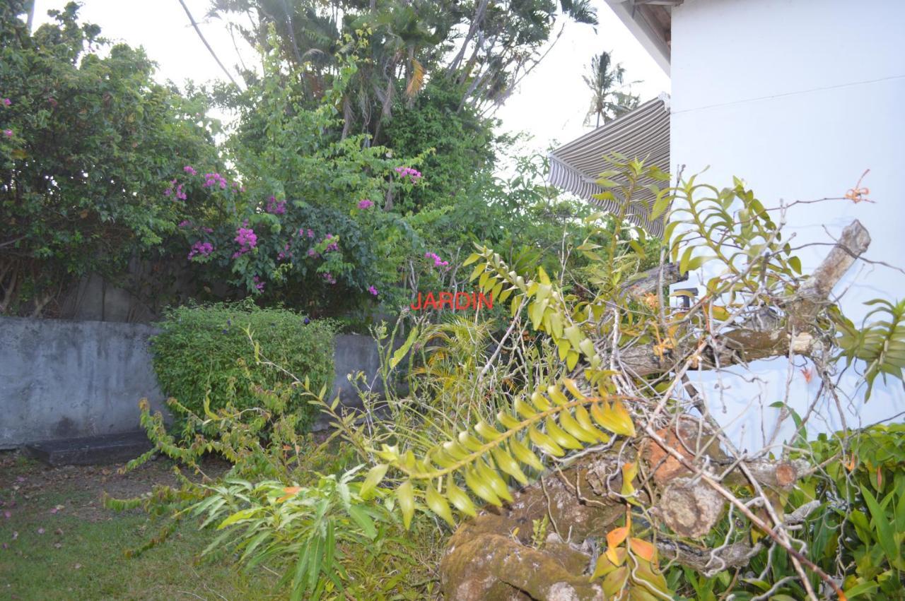 Maison Petit Paradis Basse-Terre Buitenkant foto